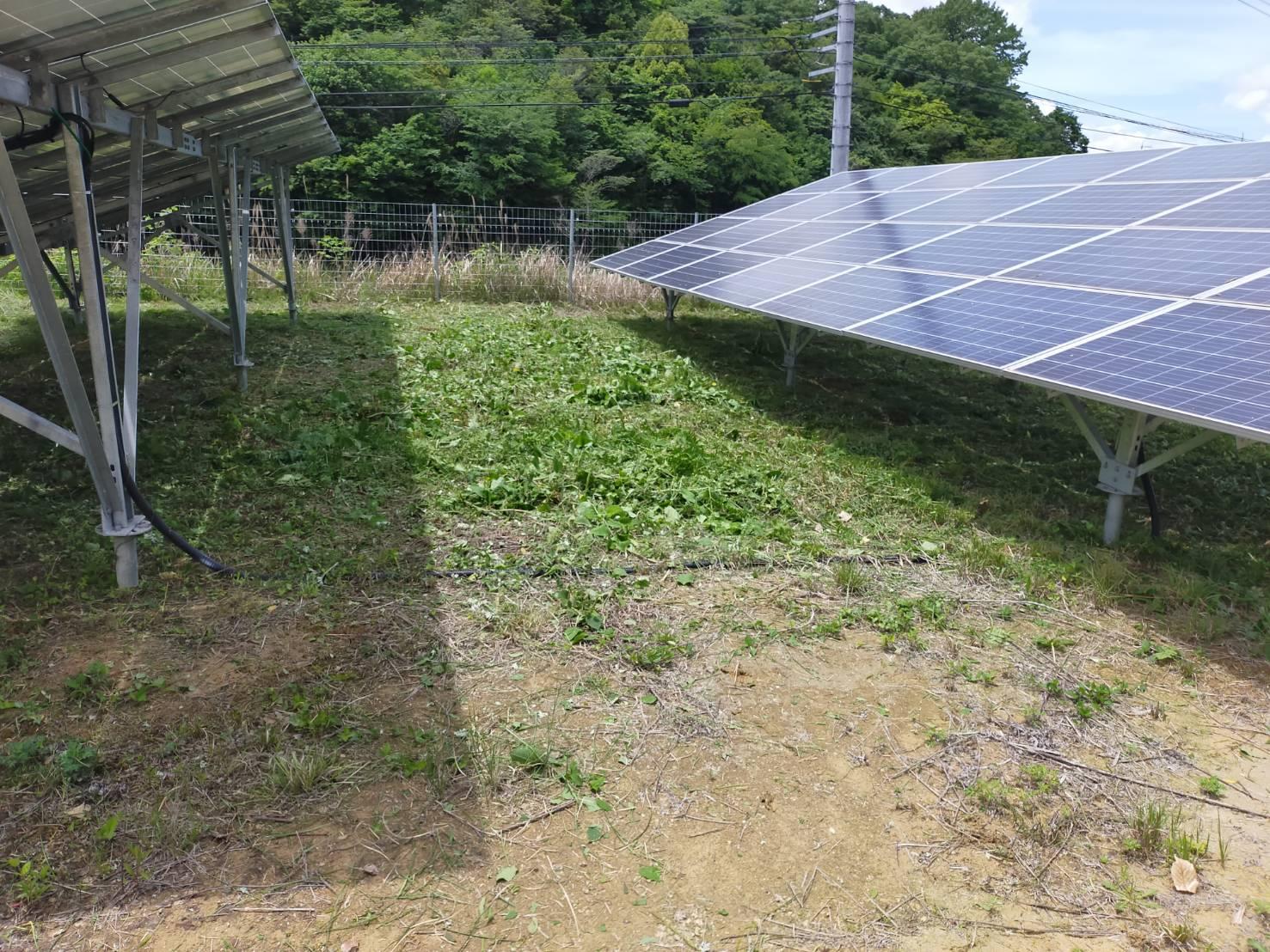 雑草や樹木による発電障害