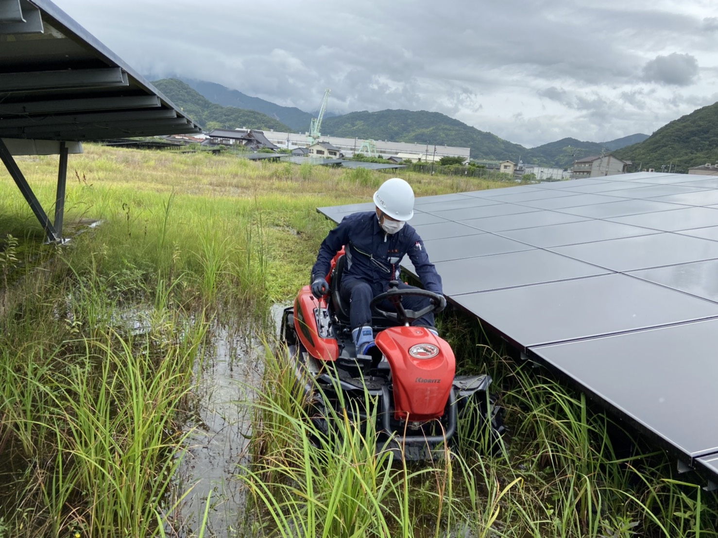 除草機械の導入
